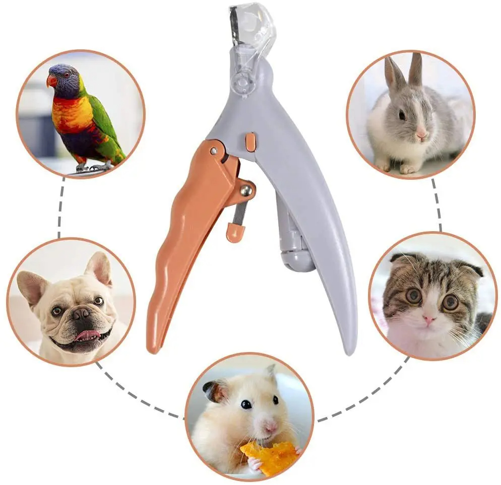 Grooming Scissors - Ciseaux coupe-ongles professionnels pour chats et