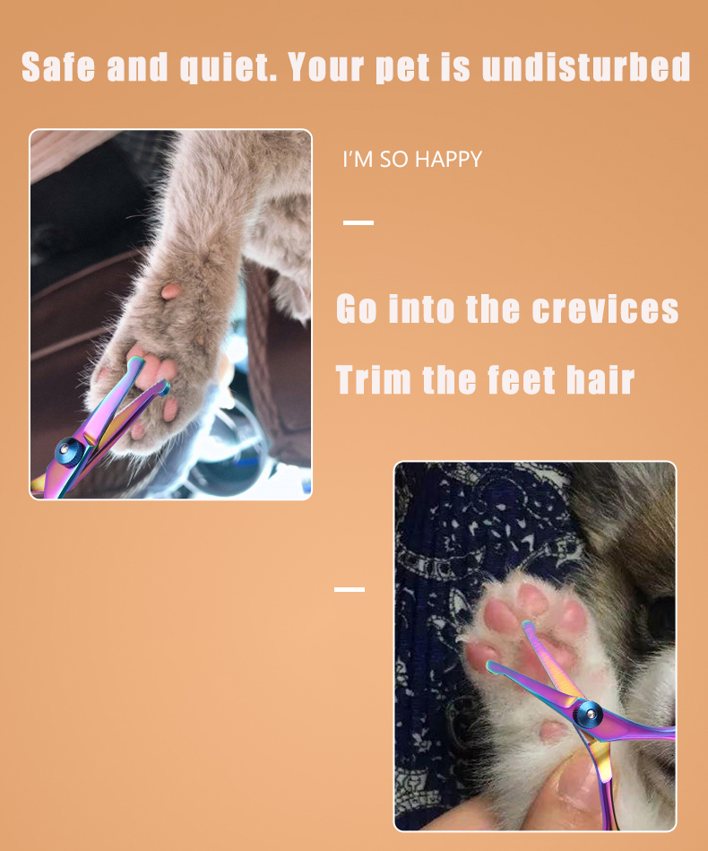 Ciseaux de toilettage à tête r - Grooming Scissors avis et prix