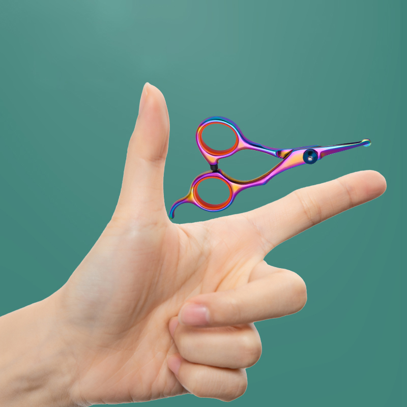 Ciseaux de toilettage à tête r - Grooming Scissors avis et prix