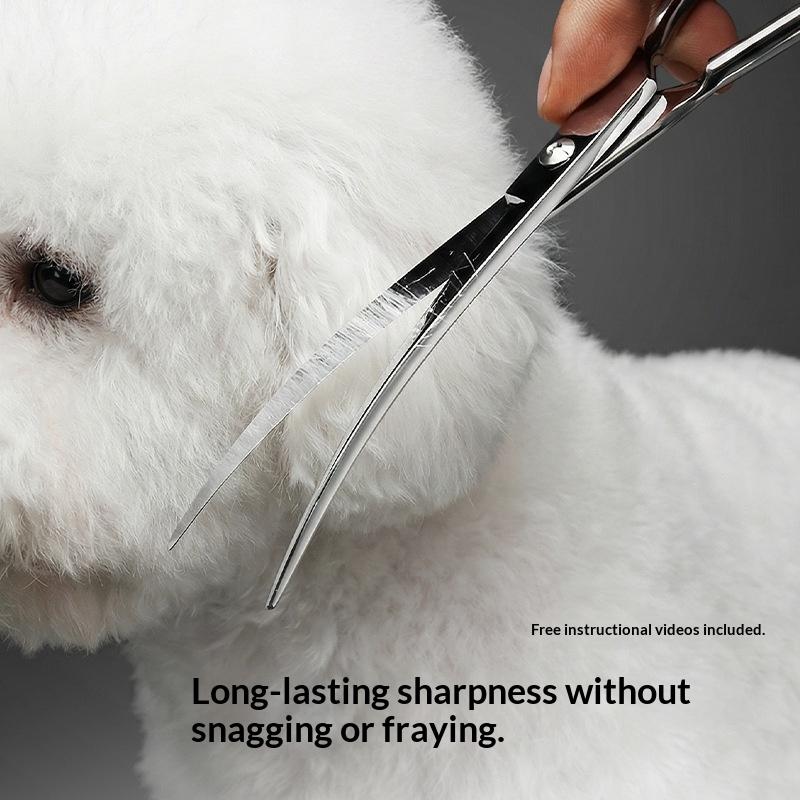 1 pièce Ciseaux de toilettage  - Grooming Scissors avis et prix